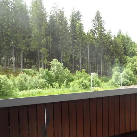 Daire Biermann Schluchsee