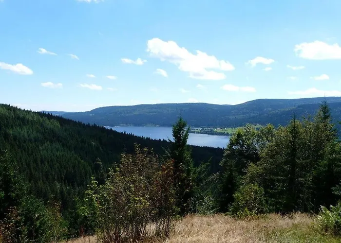 Biermann * سشلوشسي